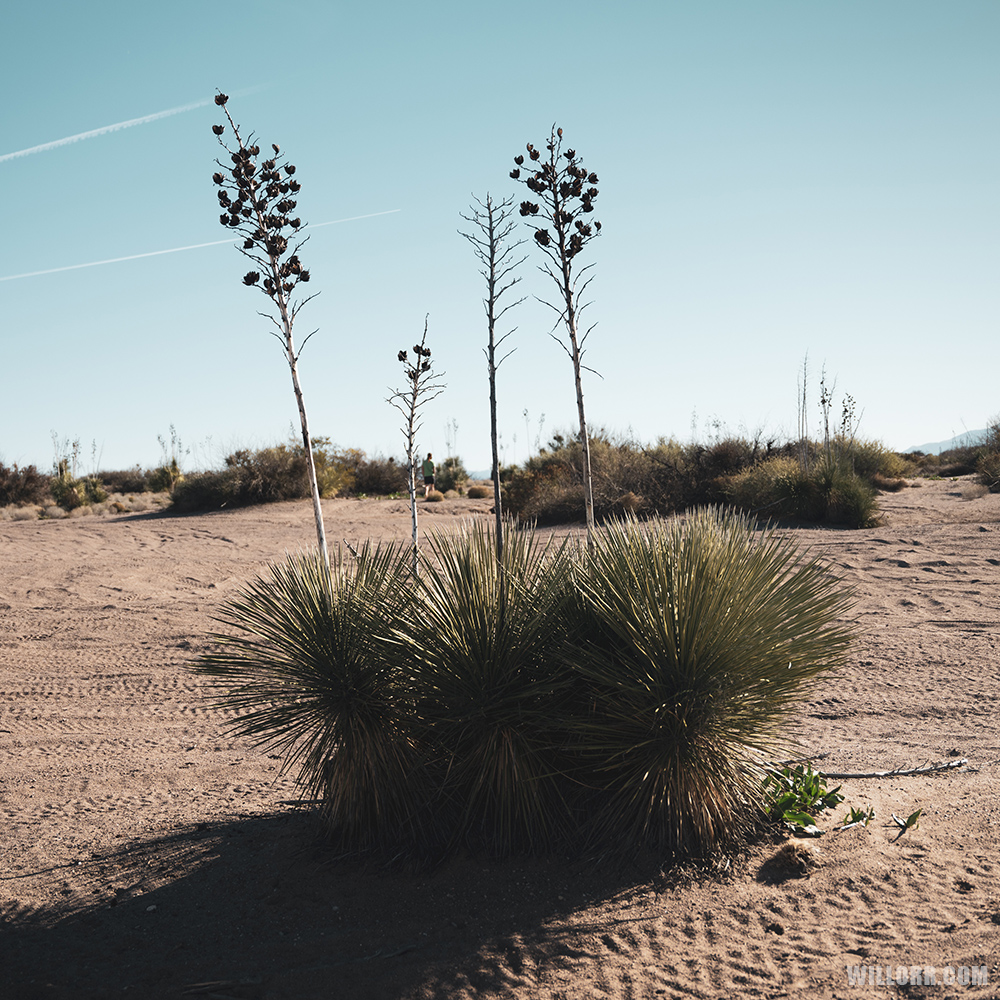 will-orr-safford-earthships-field-study-photography-2